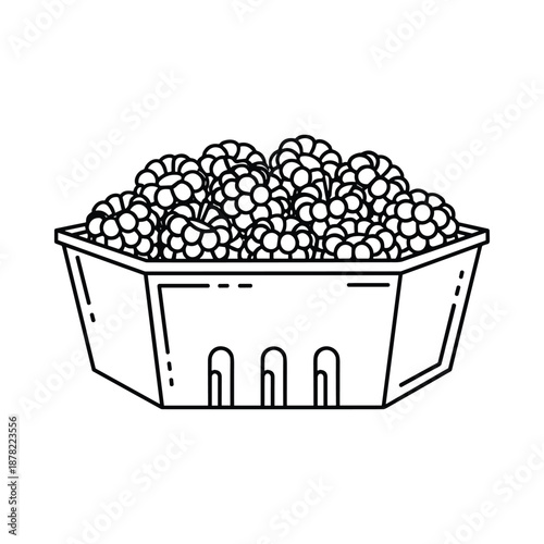 Tableau sur toile Blackcurrants in a Punnet