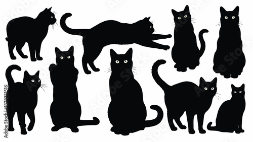 A collection of nine black cats in various poses