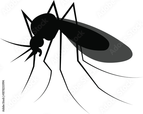 Detailed Mosquito Insect Silhouette, Pest Management and Parasitic Disease Vector for Scientific Illustration