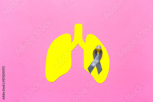 Yellow paper lungs with rib...