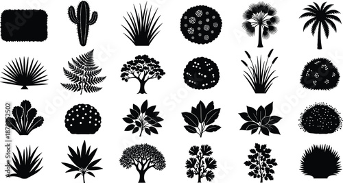 Garden plant silhouettes set, trees shrubs bushes cactus palm grass foliage, black botanical nature icons vector illustration isolated