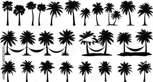 Large set of black silhouette tropical palm trees and hammocks isolated on white background for summer beach vacation design concepts.