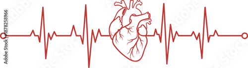 Red anatomical heart and pulse icons set with heartbeat rhythm lines on monitor screen for medical cardiology diagnostic healthcare and life sciences design concepts