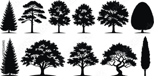 Black tree silhouettes set featuring various species including pine oak and deciduous types for landscape design and nature graphics on white.