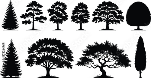 Black tree silhouettes set including pine oak maple and cypress species for landscape architecture garden design and nature graphics on white.