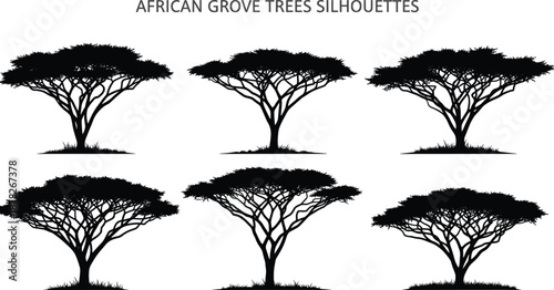 African grove trees silhouettes, savanna acacia shapes, black vector illustration set, wildlife landscape design, nature graphic collection isolated minimal elegant botanical artwork