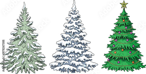 Christmas tree illustration set, hand drawn evergreen vector collection, snowy pine trees and decorated holiday fir, festive winter nature artwork