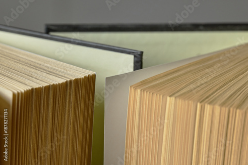 Close Up of Open Book Pages and Hardcover Spines