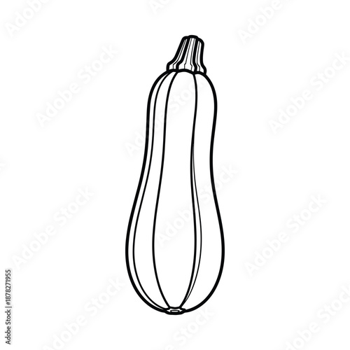 Black and white illustration of a single zucchini