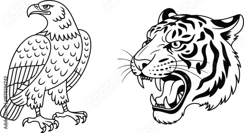 Set of two powerful wildlife sketches including a standing bald eagle and roaring tiger head vector