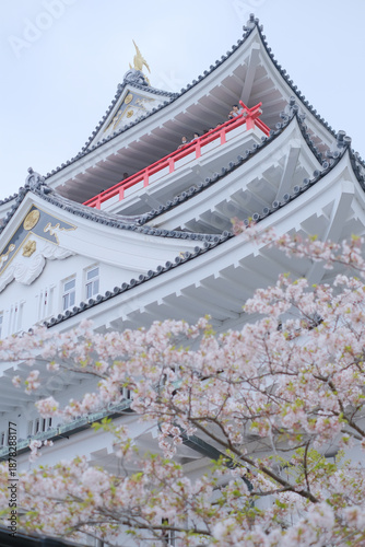満開の桜と熱海城　お城　下から