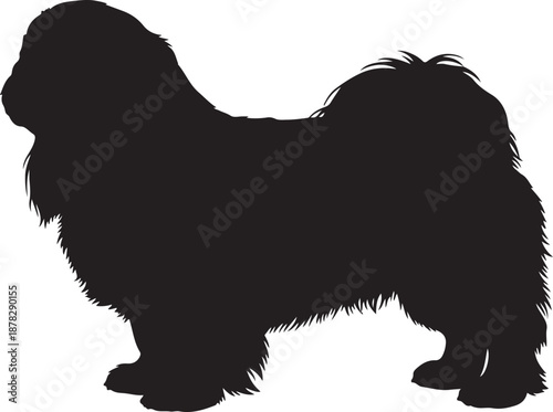 Bild auf Leinwand Pekingese dog in silhouette white background.