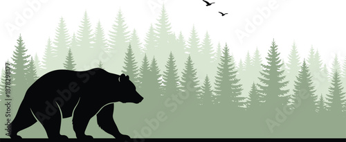 Large vector illustration of a black bear silhouette walking through a green pine forest with flying birds isolated on white background for nature banner design