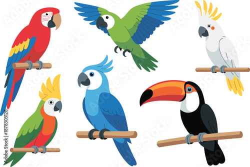 Colorful tropical parrots and toucan collection isolated on white background, exotic birds, wildlife illustration set high resolution studio cutout design