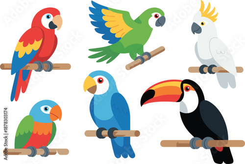 Colorful tropical parrots and toucan collection isolated on white background, exotic birds, wildlife illustration set high resolution studio cutout design