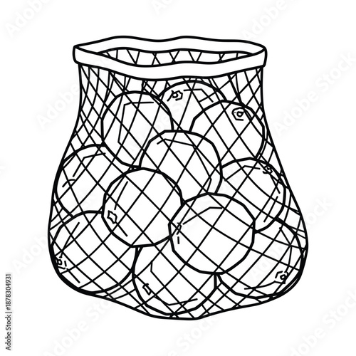 Tennis balls in a net bag