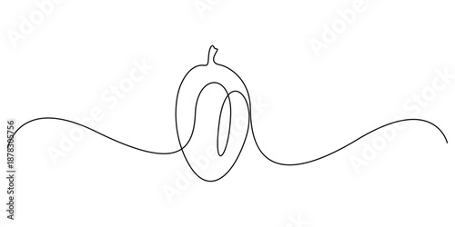 Continuous one-line art drawing of a peach or apricot fruit vector illustration