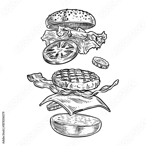 exploded hamburger ingredients vector line art hand drawn illustration