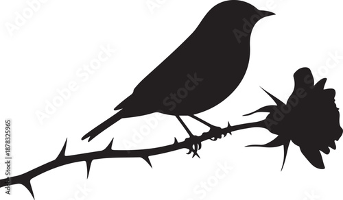 Silhouette of a bird perched on a thorny branch with a flower