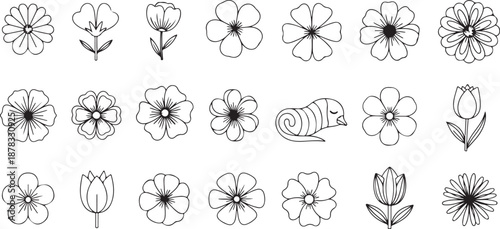 Black and white line of various flowers and a snail