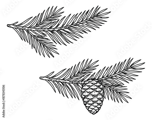 Hand drawn line art evergreen branches set featuring a pine cone and fir needles for winter decoration
