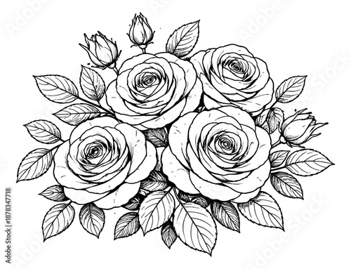 Hand drawn line art illustration of a rose bouquet depicting a beautiful floral arrangement for romantic occasions