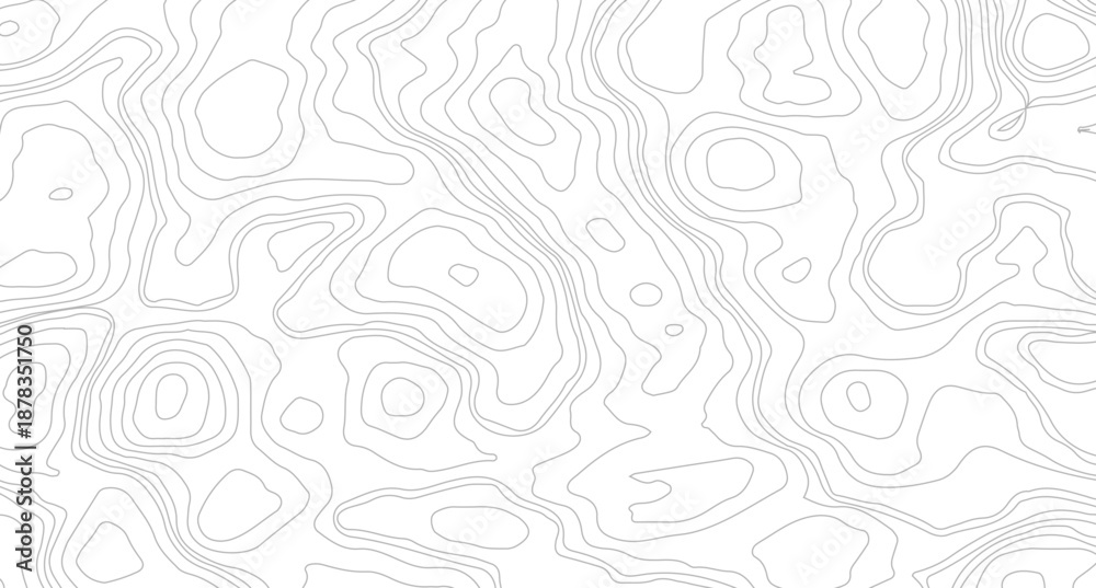 Fototapeta premium Topography background. Vector banner. Topography map background. Topographic map background. geographic line map with elevation assignments. 