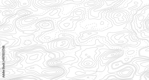 Topography background. Vector banner. Topography map background. Topographic map background. geographic line map with elevation assignments. 