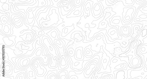 Vector geographic contour map. Background of the topographic map. Topographic map lines, contour background.
