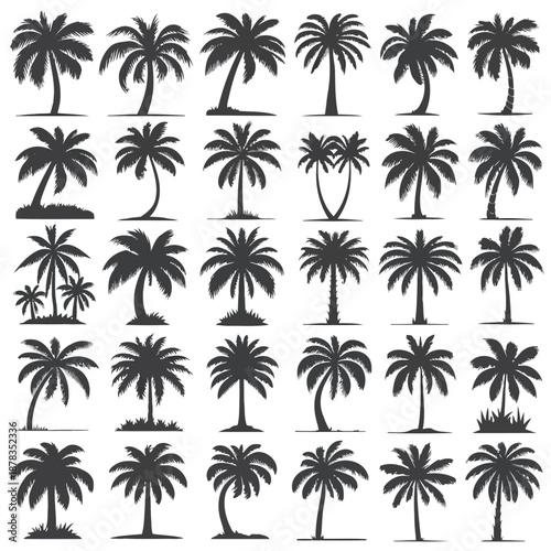 Collection of various palm tree silhouettes in different shapes and sizes on white background high quality