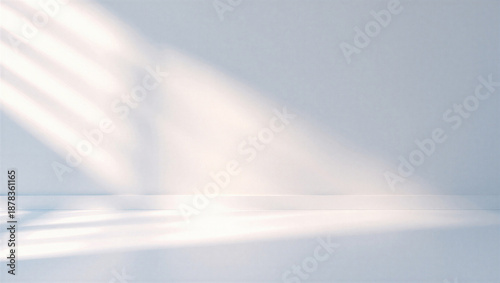 Photos Soft natural light casting shadows on a clean white background