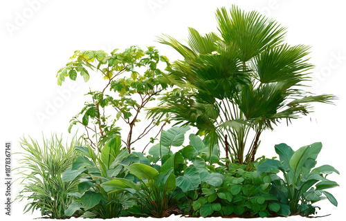 Lush Greenery in the Garden: An array of vibrant plants and diverse foliage creating a verdant and thriving garden scene.
