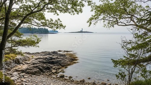 Coastal scenic view with lighthouse in distance, framed by trees.