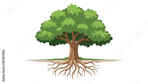 Illustration of a tree with exposed roots and green leaves on a white background.