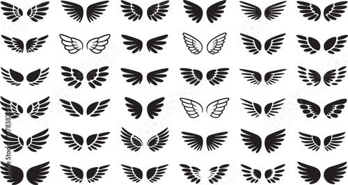 Wing angel wings feather flight