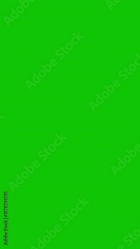 Mouse Hand Click Animation Finger Tap Green Screen. 4K Resolution