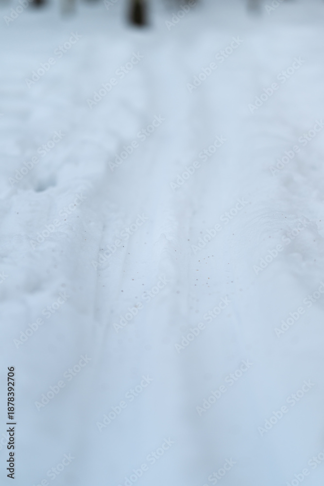 Obraz premium Snow covered forest path showing tracks, soft blue light, bare tree trunks, distant mist, untouched snow drifts, hushed atmosphere evoking solitude and calm exploration