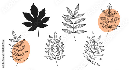 Collection of detailed leaf sketches in black and white with soft orange circle accents for modern botanical art and design projects bundle.