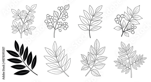 Collection of black and white botanical leaf illustrations in various artistic styles, including solid silhouettes and detailed line art branches.