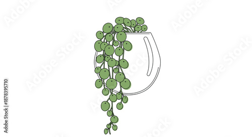 Delicate green succulent plant known as string of pearls cascading from a modern white wall-mounted pot in a minimalist style.