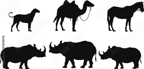 Wild and domestic animal silhouette set, dog camel horse rhinoceros profiles, wildlife and farm animal collection, black vector illustration isolated on white background
