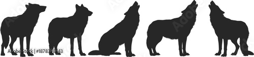 Wolf silhouette collection illustration, wild wolves standing and howling in different poses, wildlife animal set, black minimal flat vector design