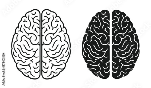 Black and white illustration of human brain hemispheres side by side