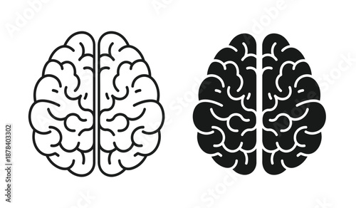 Black and white illustration of human brain hemispheres side by side