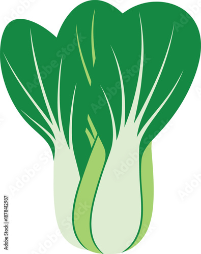 Bok Choy Vector Illustration, Fresh Green Leafy Vegetable, Asian Cuisine Ingredient, Healthy Food