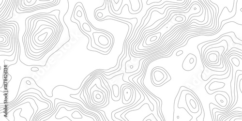 Topography background. Vector banner. Topography map background. Vector geographic contour map. Background of the topographic map. Topographic map lines, contour background.