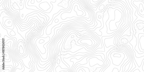 Topography background. Vector banner. Topography map background. Vector geographic contour map. Background of the topographic map. Topographic map lines, contour background.