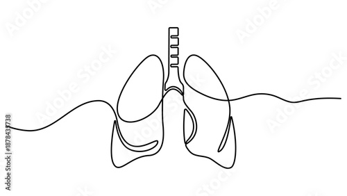 Continuous one line drawing of lungs medical anatomical organ isolated on white background. Continuous one line editable stroke of human lungs. Single line art style lungs vector illustration