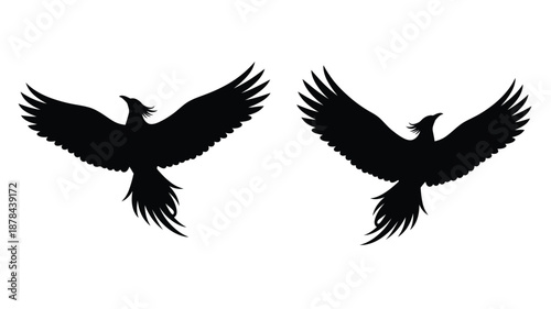 Two birds with outstretched wings in a dark striking silhouette