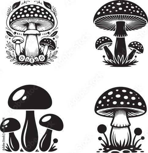 black and white illustrations of various mushroom types and sizes